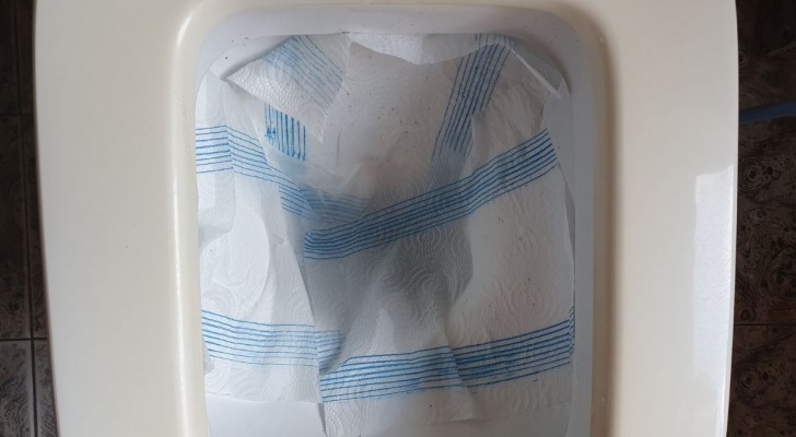 Pulire il WC con la carta assorbente impregnata di aceto
