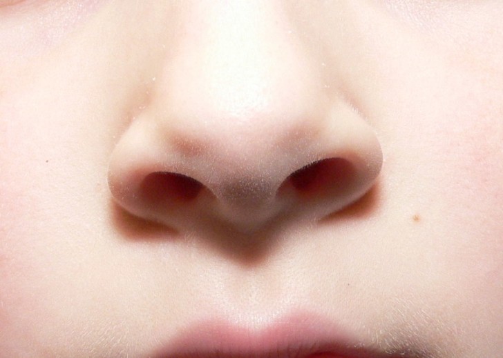 La forma del tuo naso può rivelarti dettagli interessanti del tuo carattere