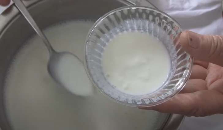 Wie man selbstgemachten Joghurt herstellt, ohne ihn im Supermarkt zu kaufen: Das brauchen Sie