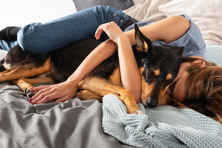 Ist neben dem eigenen Hund zu schlafen gut oder schlecht?