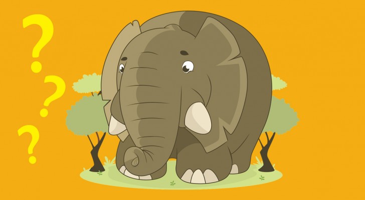 L'indovinello dell'elefante: un minuto di tempo per trovare la risposta giusta!