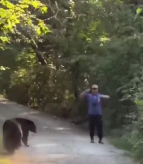 Uomo incontra due orsi lungo un sentiero di montagna...