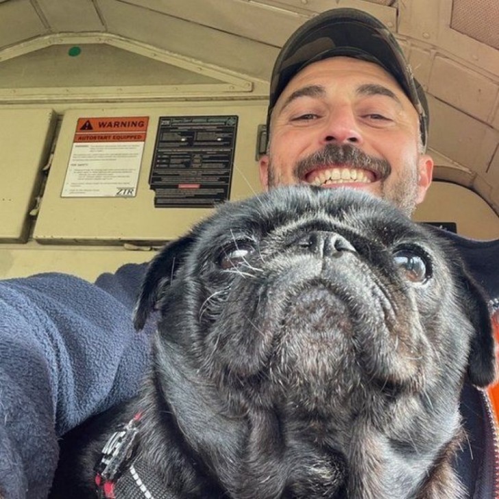 muso di cane carlino con padrone