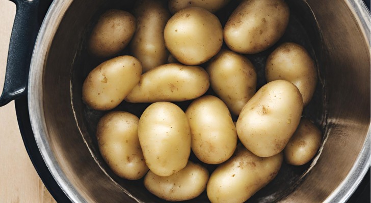 Et si vous utilisiez l'eau de cuisson des pommes de terre pour vos plantes ? Voici comment
