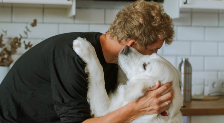 En studie vid York University om effekten av ett barnsligt tonfall när man pratar med hunden