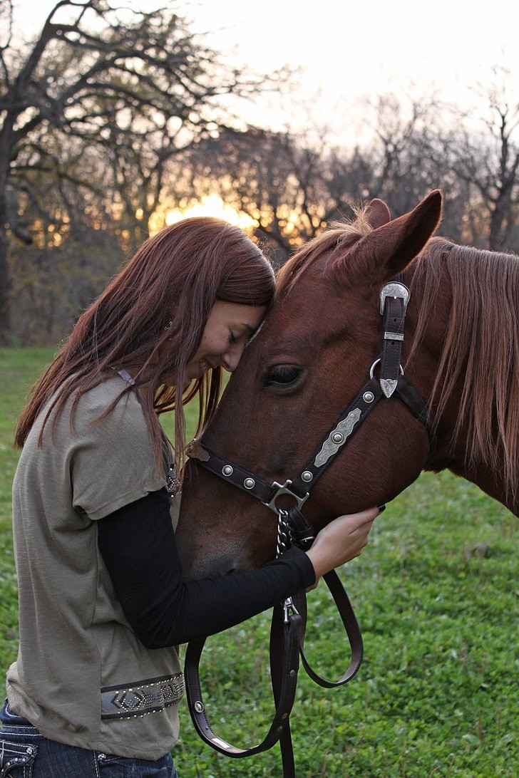 I cavalli sono davvero in grado di interpretare le emozioni umane?
