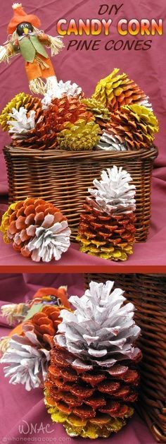 Les pommes de pin colorées pour mille décorations dans le style automnal