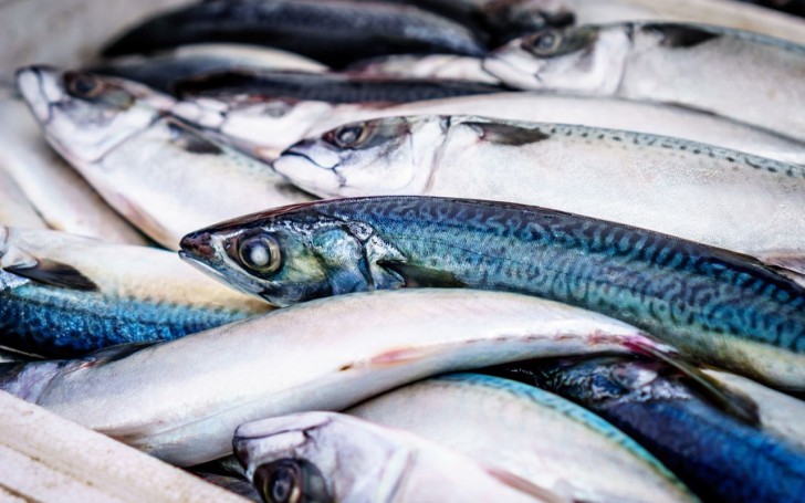 Comment reconnaître le poisson frais : conseils pour ne pas se retrouver avec un poisson malodorant