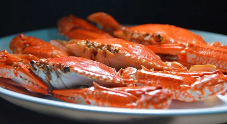 Il n'y a pas que les homards : d'autres animaux changent de couleur à la cuisson