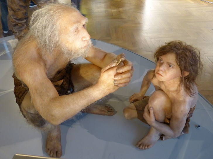 La première rencontre réelle entre Néandertaliens et Homo sapiens : l'étude