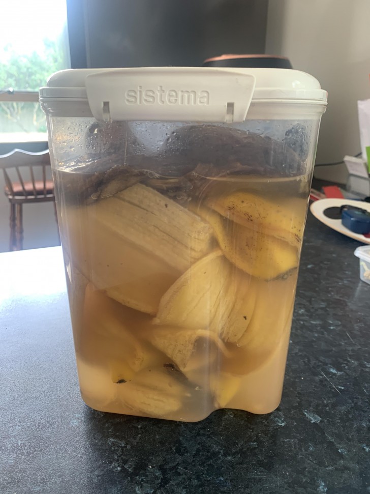 Hoe meststof uit bananenschillen bereiden