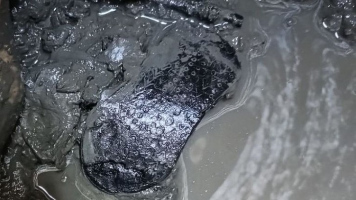 Rarissimo ritrovamento: un sandalo romano di 2.000 anni fa