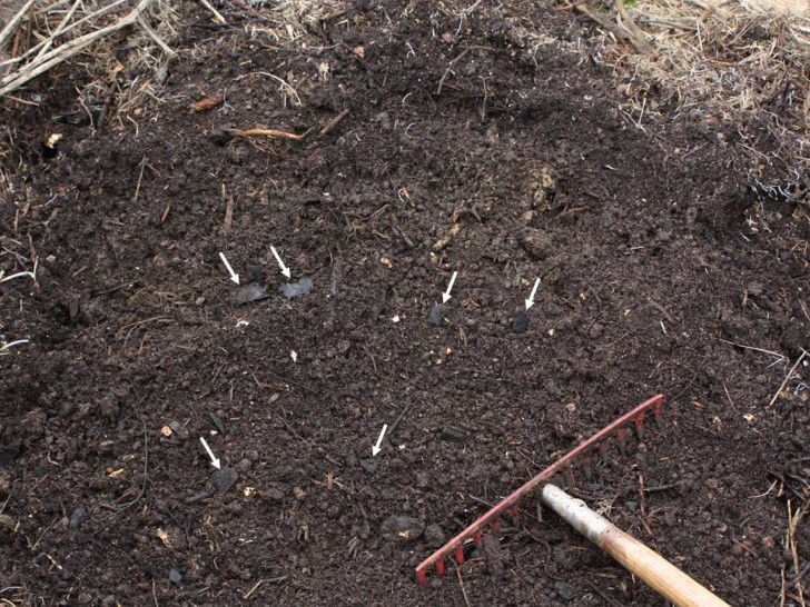 Der Schlüssel zur Wiederaufforstung des Amazonas liegt in seinem Boden: das Experiment