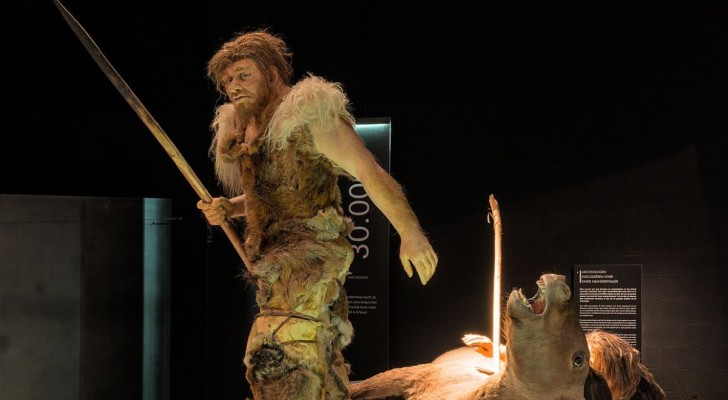 Homo Sapiens e Neanderthal: una lunga convivenza