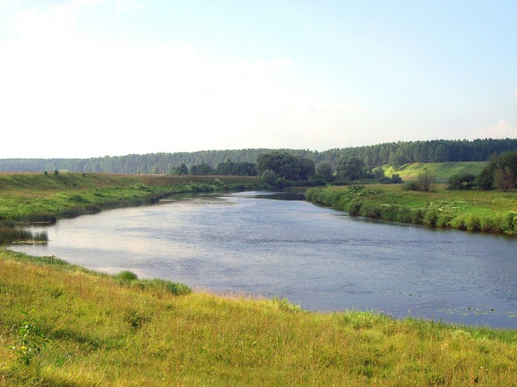 De botten gevonden door het meisje in een rivier in Rusland