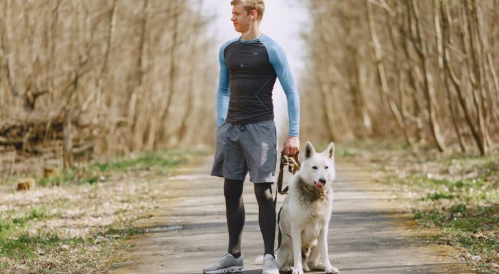Fare jogging con il cane: quali sono le migliori razze?
