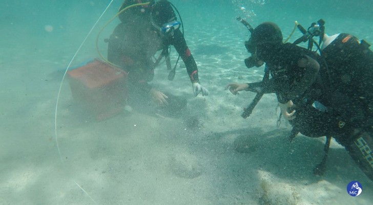 Almeno 30 mila monete: un tesoro sommerso torna in superficie