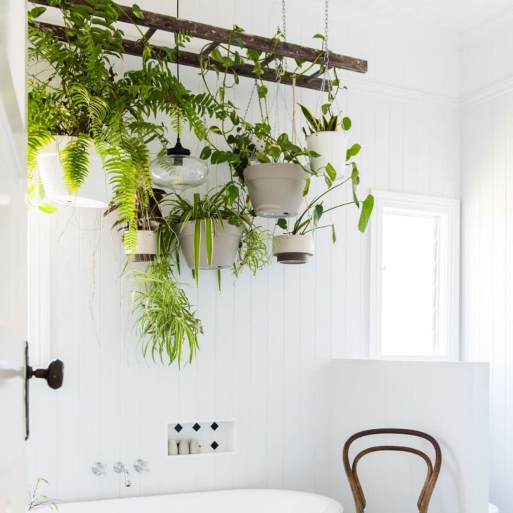 De badkuip gebruiken om te decoreren met planten