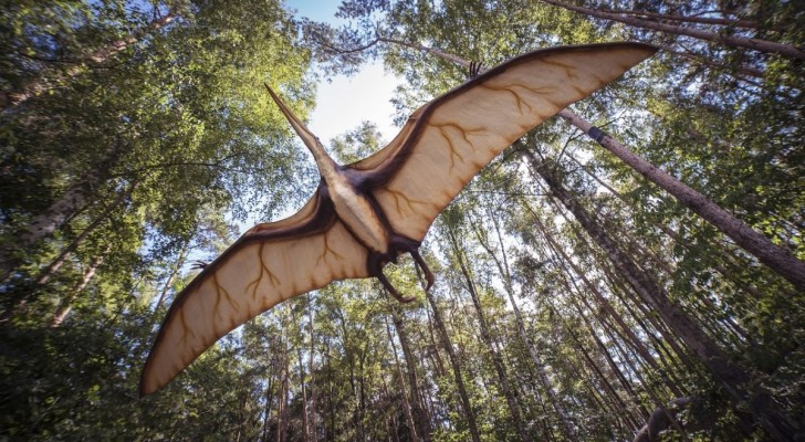 L’impatto è avvenuto in primavera, ma ha causato l’inverno