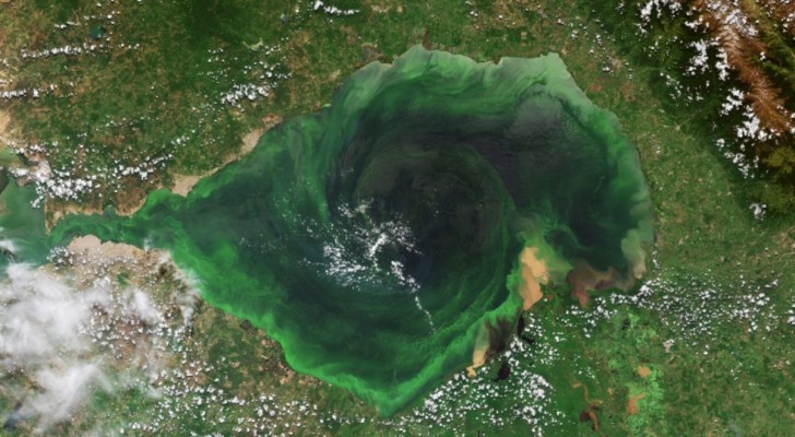 Der Maracaibo-See aus dem Weltraum: das Geheimnis des Strudels