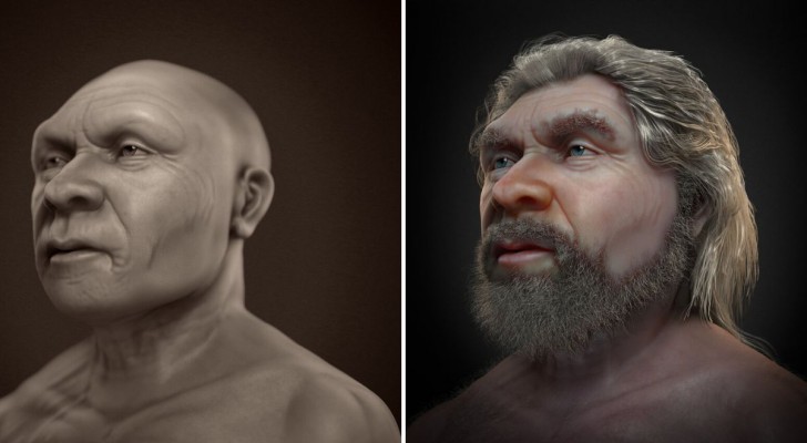 Een nieuwe visie op de Neanderthaler, mede dankzij de reconstructie van het gezicht