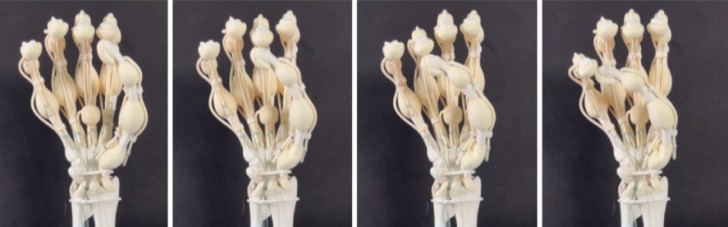 Main robotique souple imprimée en 3D : elle a des os, des tendons et des ligaments