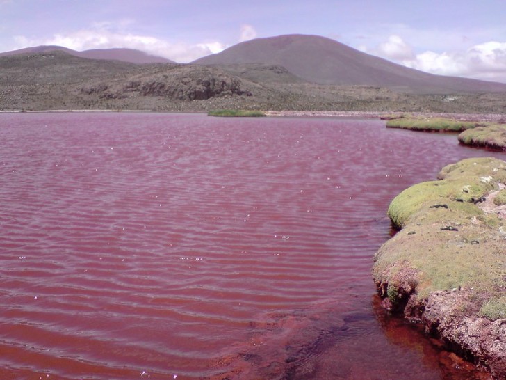 Acque rosse nel Nilo e Laguna Rossa del Cile: quando le bufale viaggiano sui social