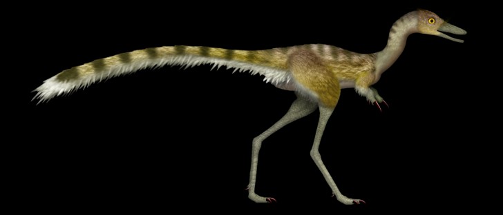 Dinosauriefossil visar att de sov i liknande position som fåglar