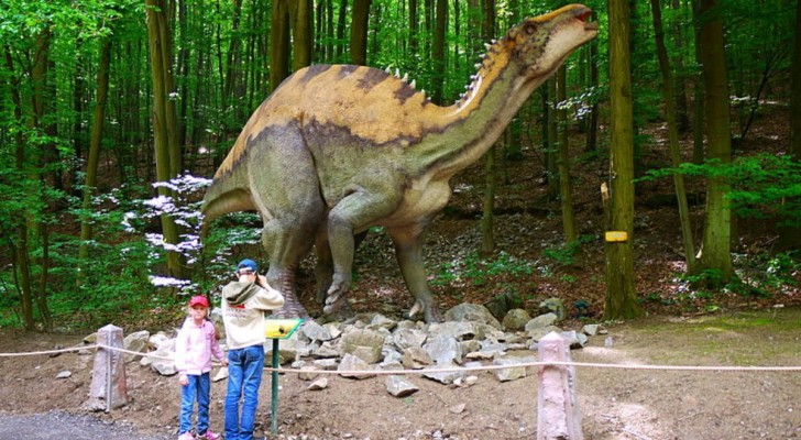 Ett fossilt avtryck från en dinosaurie som levde för 140 miljoner år sedan har upptäckts
