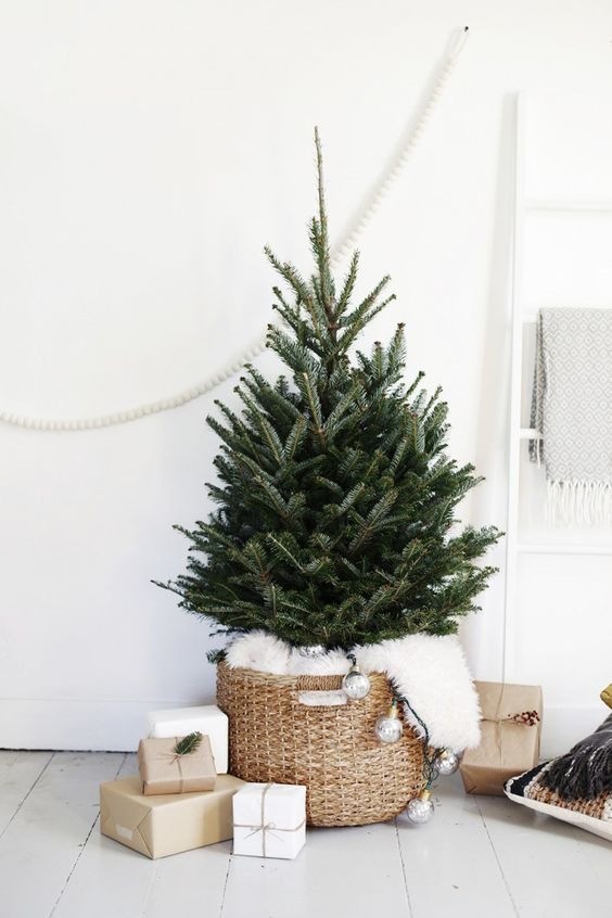 L'albero di Natale: ma serve proprio che sia ricco di decorazioni?