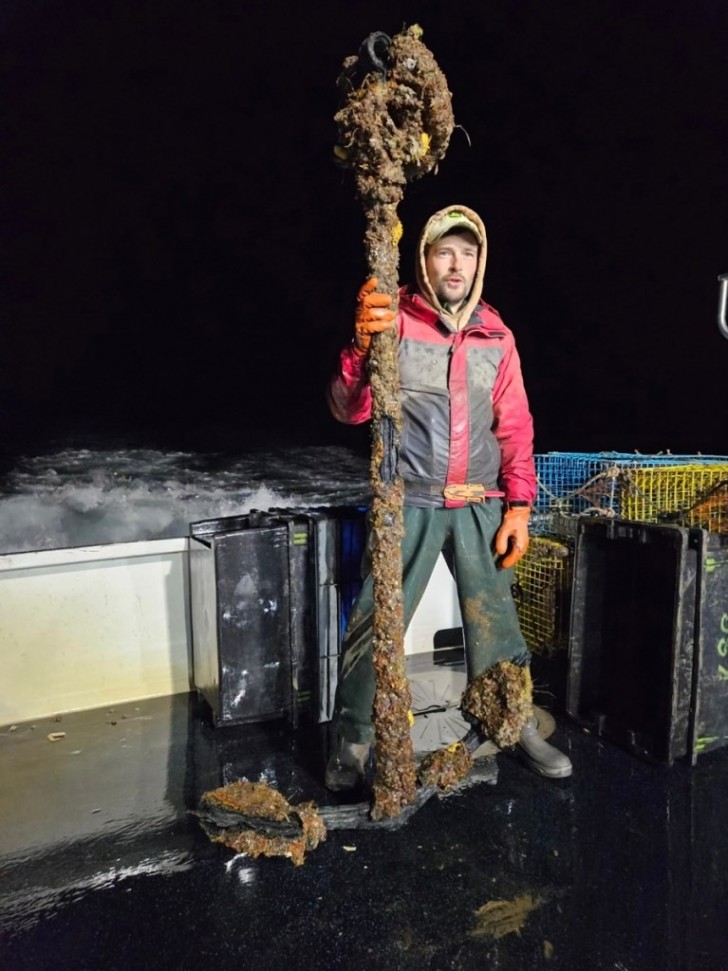 Pescatori di aragoste estraggono dall'oceano un'antica ancora di enormi dimensioni