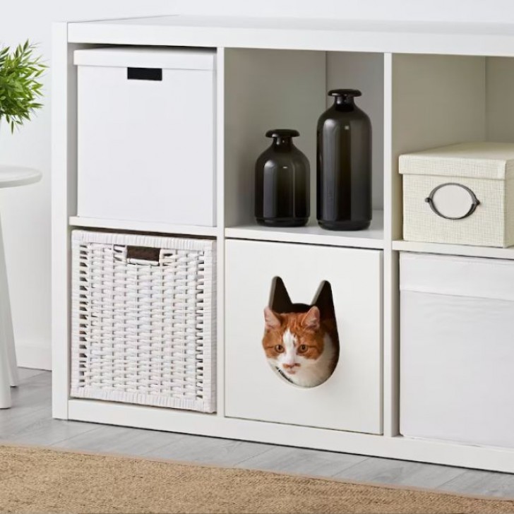 12. En direct du séjour