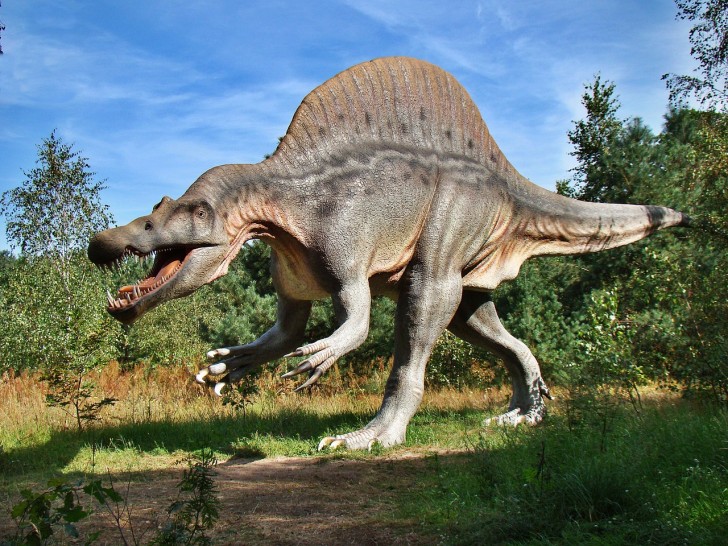 Dinosauriernas död: var orsaken verkligen en asteroid?