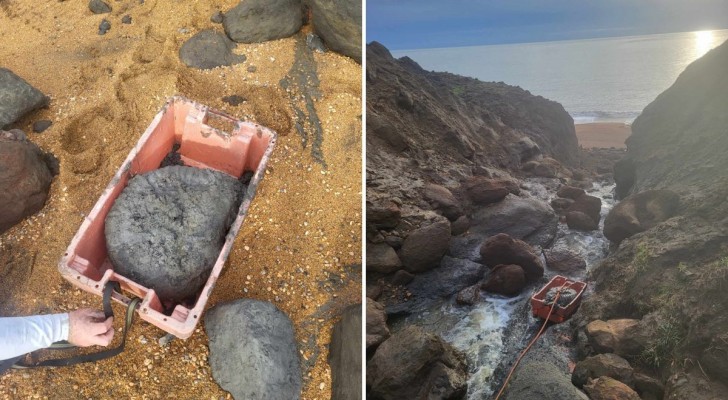 Fossielen op het eiland Wight, een waar dinosauruseiland