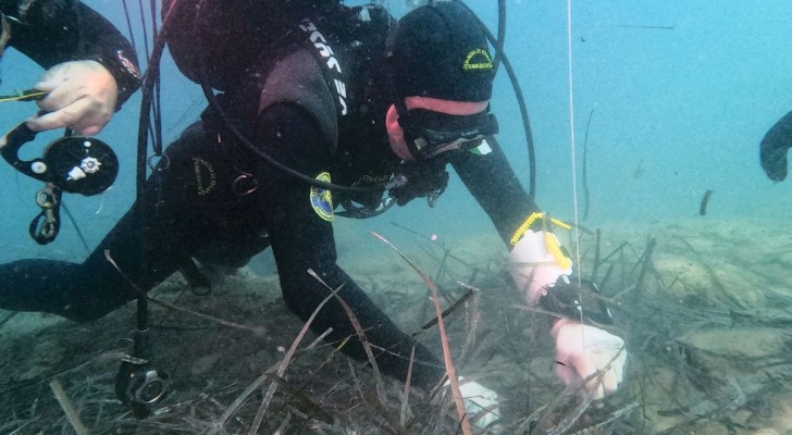 En slumpartad upptäckt: två väldigt gamla ankare i Syrakusas hav