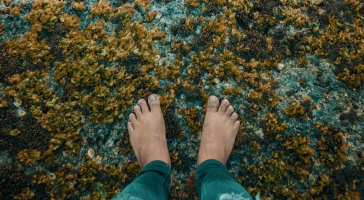 À quoi sert le petit doigt de pied ?