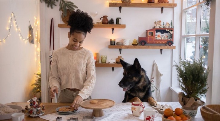I problemi della cucina natalizia sui cani: cosa devi evitare
