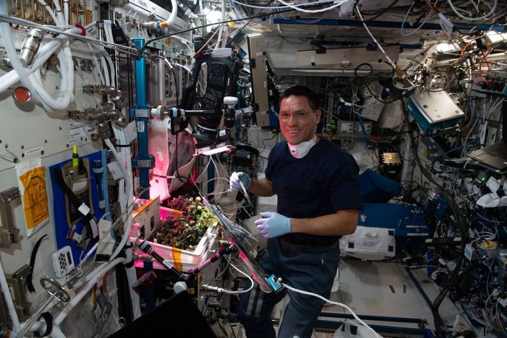 Commentaires de l'astronaute qui a perdu sa tomate à bord de l'ISS