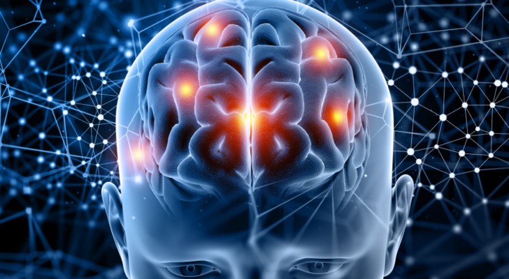 Intelligenza artificiale e organoidi cerebrali