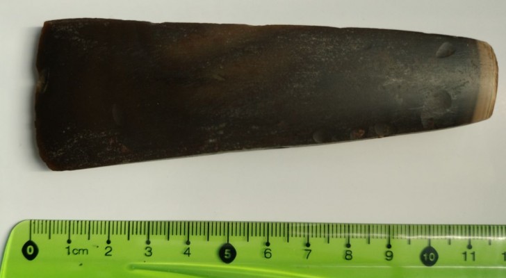 Une hache vieille de 4400 ans découverte par hasard