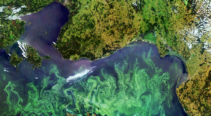 Azienda di energia verde scopre un relitto nel Mar Baltico