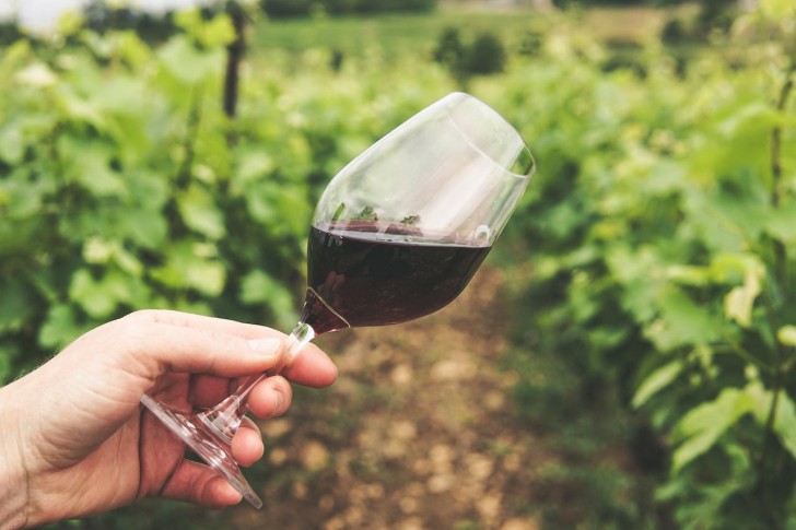 Qual è la gradazione alcolica del vino rosso?