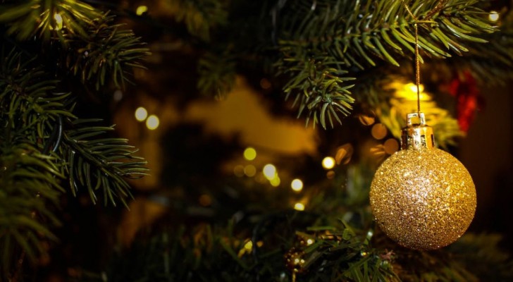 Albero di Natale vero o albero di Natale finto: questo è il dilemma