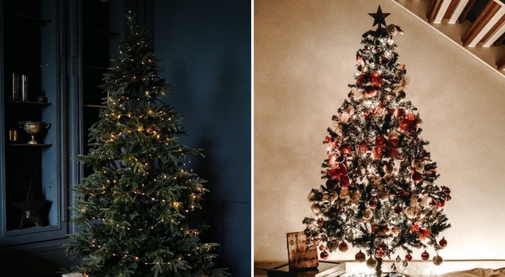 Qual è il vero albero di Natale sostenibile per l'ambiente?