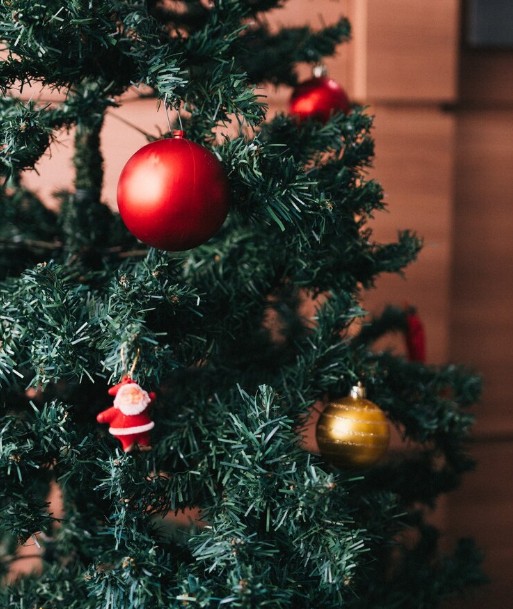 Het verhaal over de wraak van de kerstboom