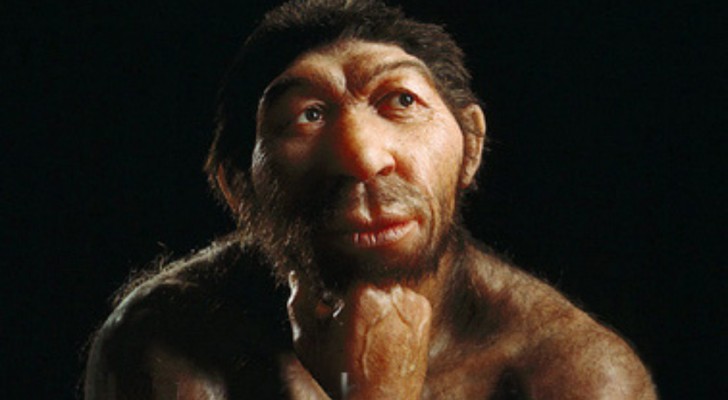 Våra förfäder riskerade att dö ut för cirka 900.000 år sedan