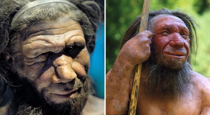 Varifrån kom neandertalnäsan?