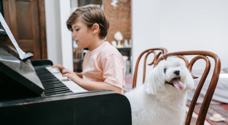Cosa prova un cane quando sente la musica?