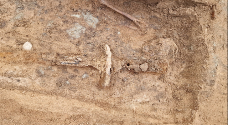 Das Erstaunen der Archäologen: Deshalb ist der Fund so selten