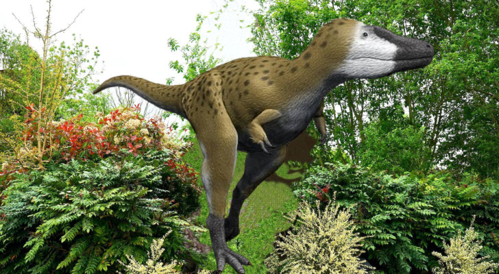 Nanotyrannus liknar inte en T-rex